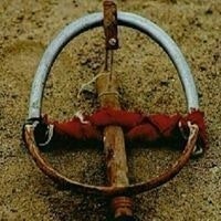 ابو علي الغزال