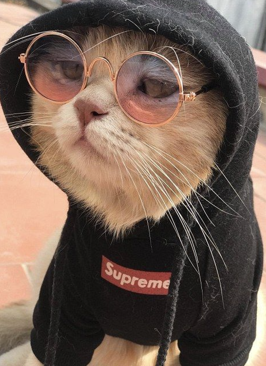 1234567890123456789012345678901234567890