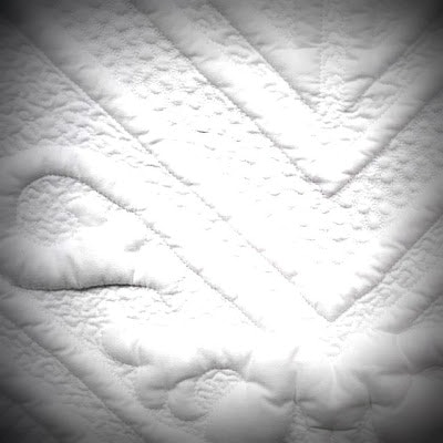 Violaine Charbonnier