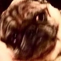 Виталик Лукьянов