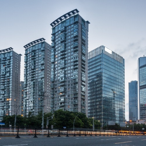 Prestige Pine Forest