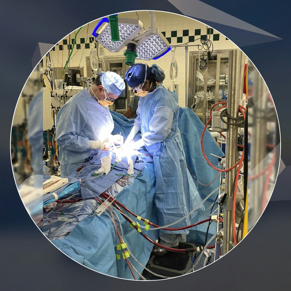 Shamini Parameswaran