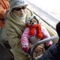 Emilia Wysocka-Treder