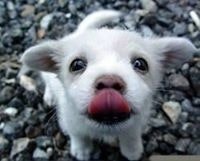 Anupong Sukitprasert