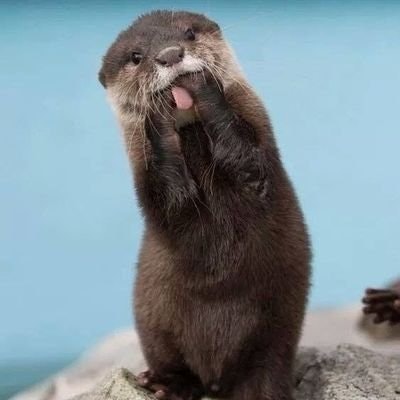 ❤️‍🔥🦦 1WAN 🦦❤️‍🔥