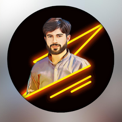 amir malik