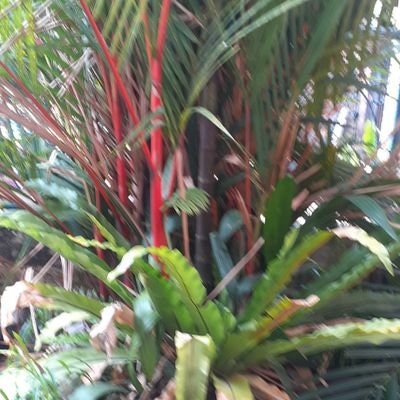 piknavapikmi 🧚‍♀️🧚‍♂️