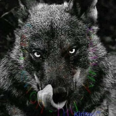 Alexandros Liapis 💚 eesee