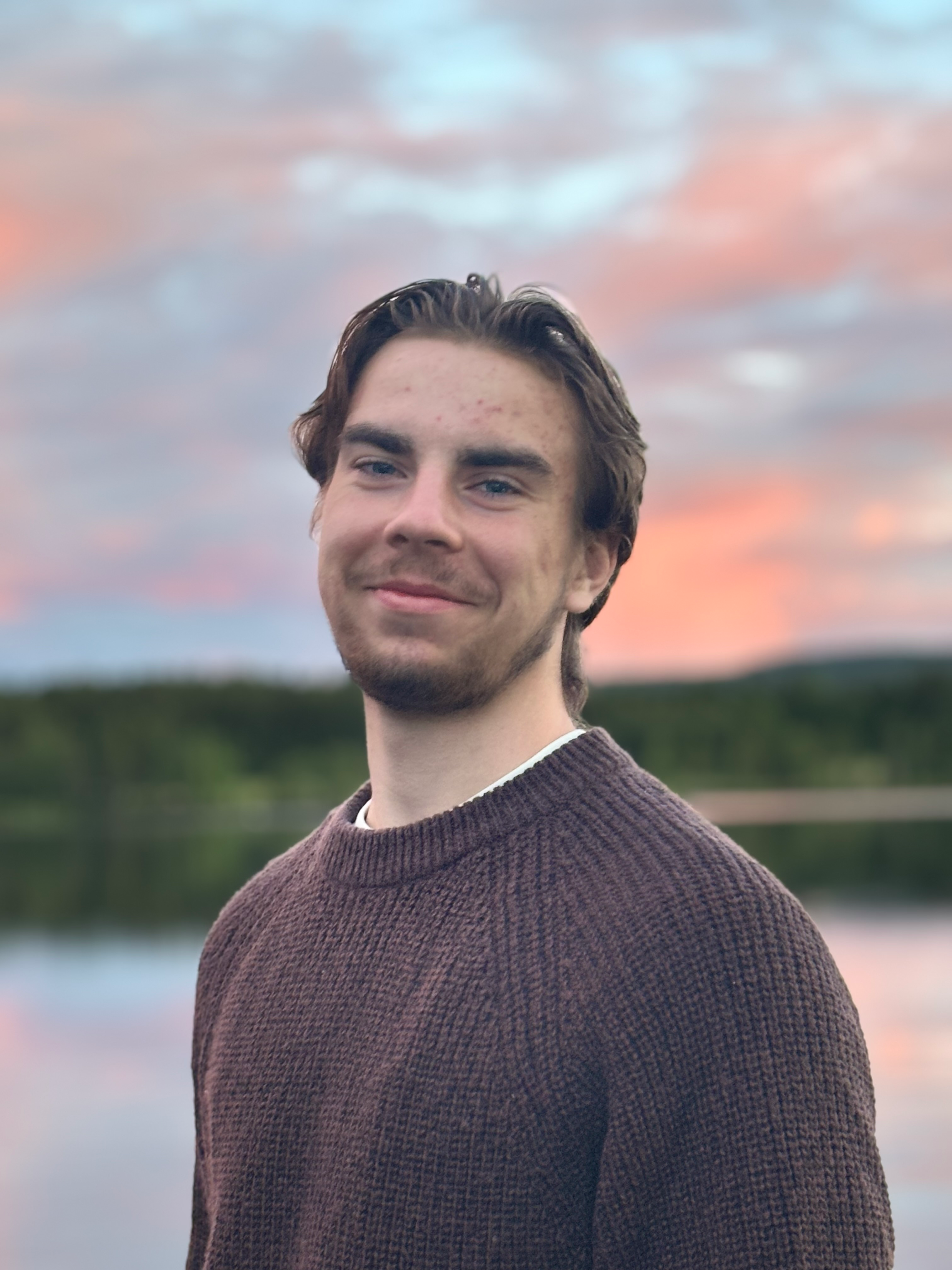 Henrik Westerlund