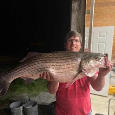 Tris.🐻⛓️ 🐉$MON