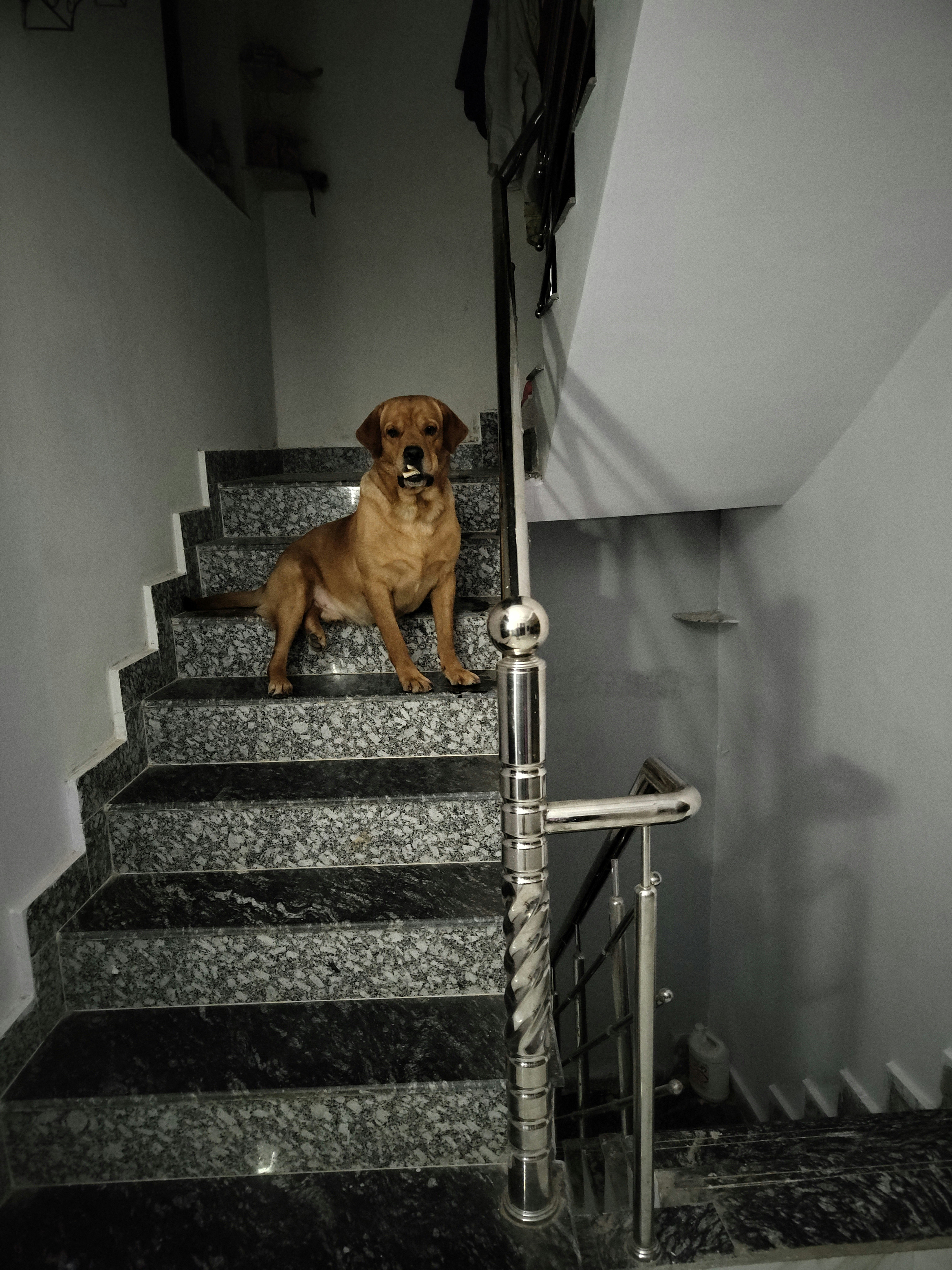 Himanshu Dhiraj Mishra