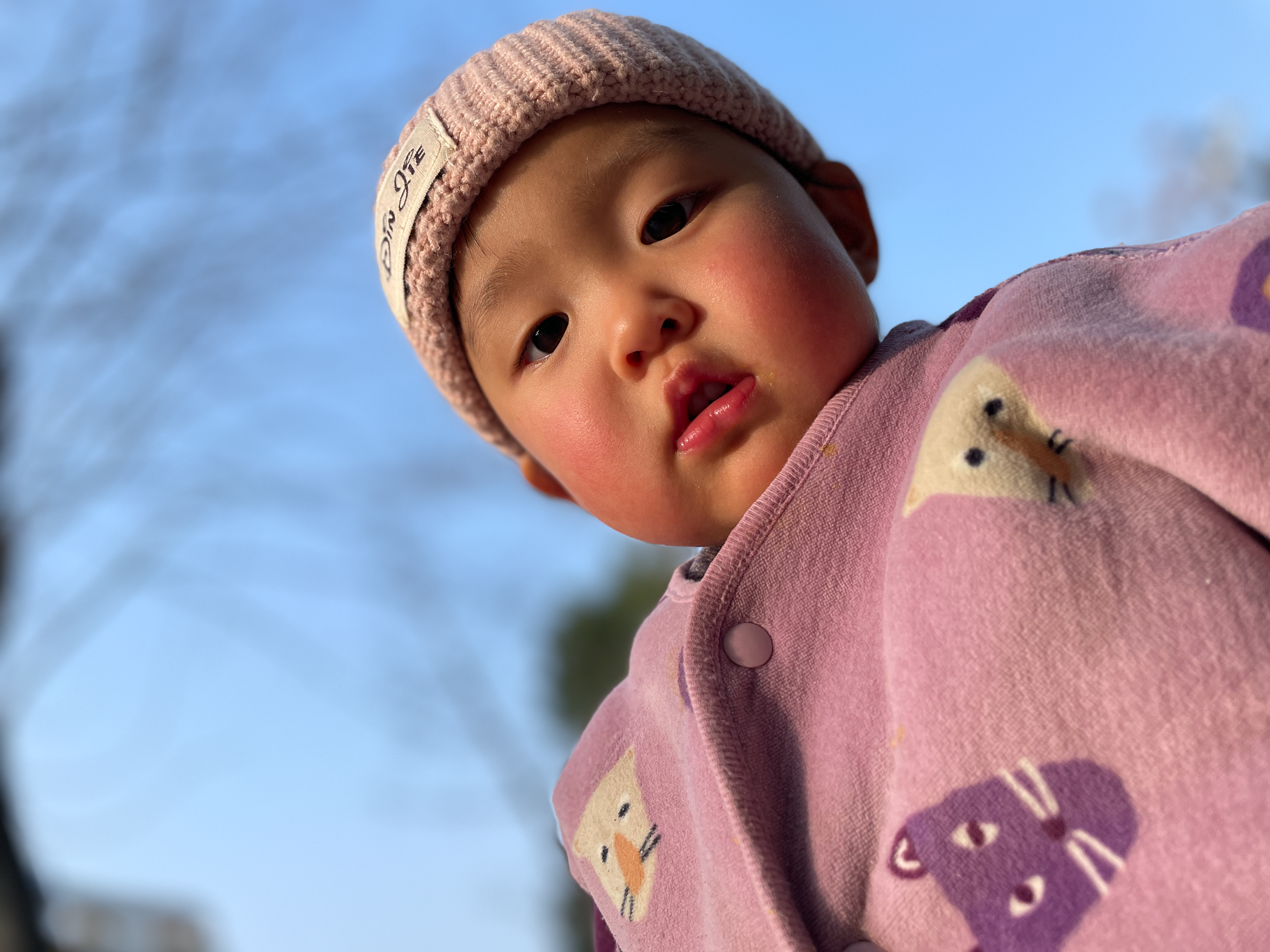 码农小杨（coderyang）