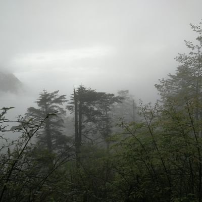 suliuliu '🚀MATR1XCoin'