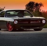 عبدالرحمن الشامي