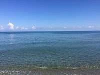 Mamsef ⎝⏠⏝⏠⎠ Kayruz