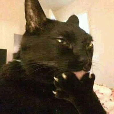 Murillo Vaz Dos Santos