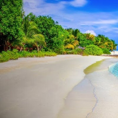 VishnuKumar Narayana