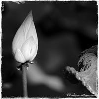 Keartsuda Koi Puakpen