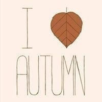 Debbie van der Hoeven