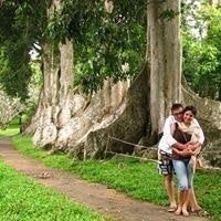 Чипкинян Артур