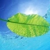 Սիրանուշ Կարապետյան