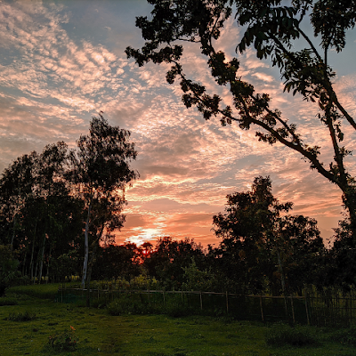 Mahmudul Haque,AT. Balubazar Gps