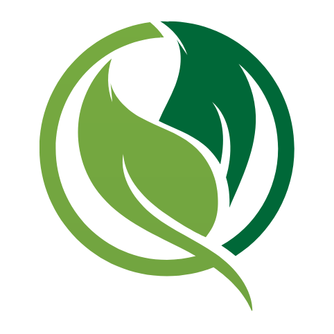 Fixions - weight loss