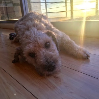 BORJA QUINTERO BRUCE