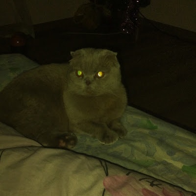 Ирина Рогоза