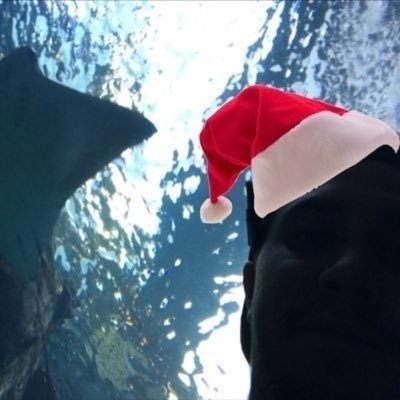 Harambe's God Father