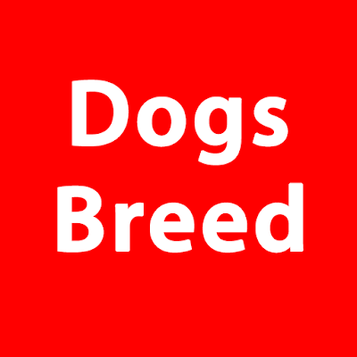 Org Dog Breed
