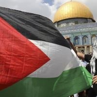 أسامة عبد المجيد