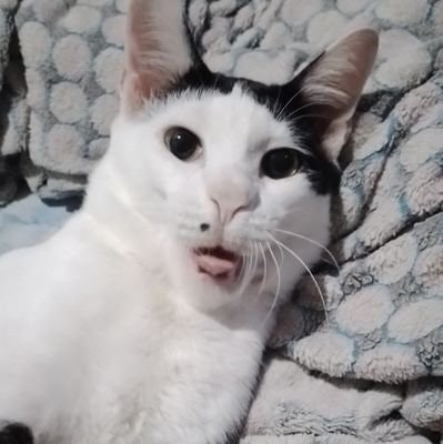 Windy💎 BIG WIN SOON 🍀