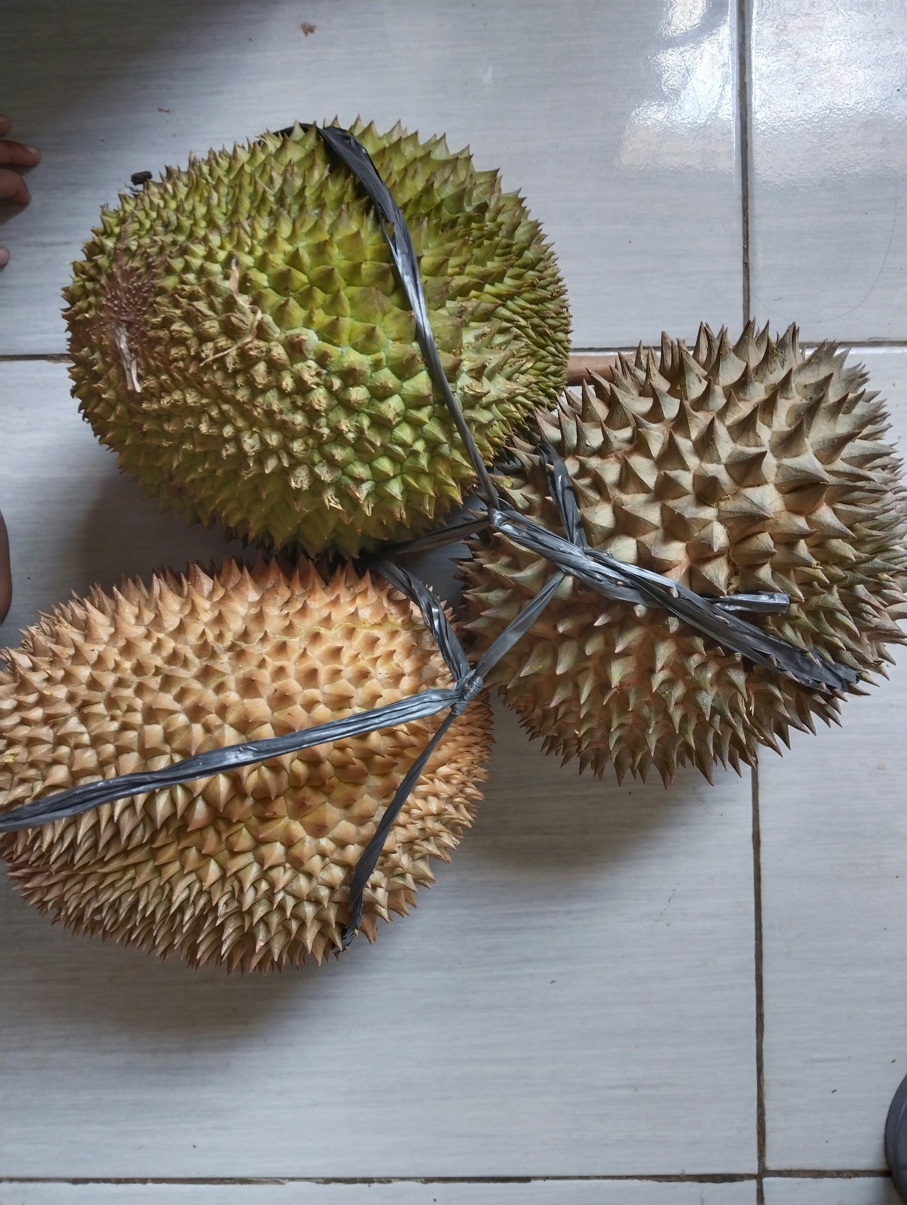 ୧⍤⃝🌿୧⍤⃝🌹FREETAG୧⍤⃝🌿୧⍤⃝🌹