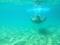 Aleksandar Stojanovik