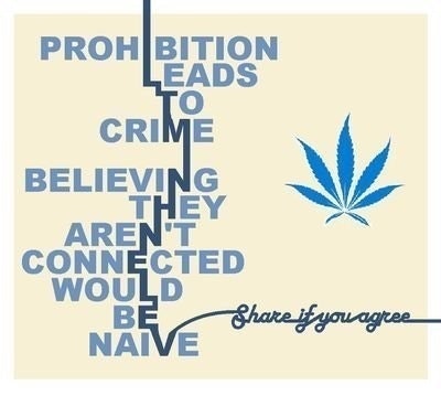 Drug User - Activist