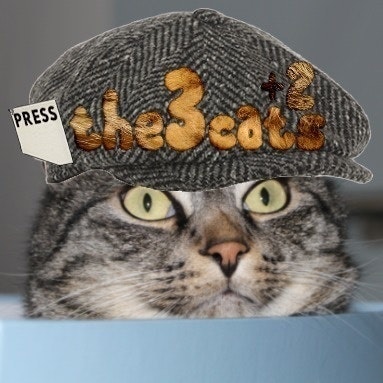 the3cats+2