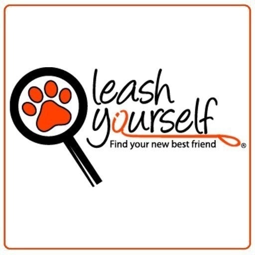 Leash Yourself