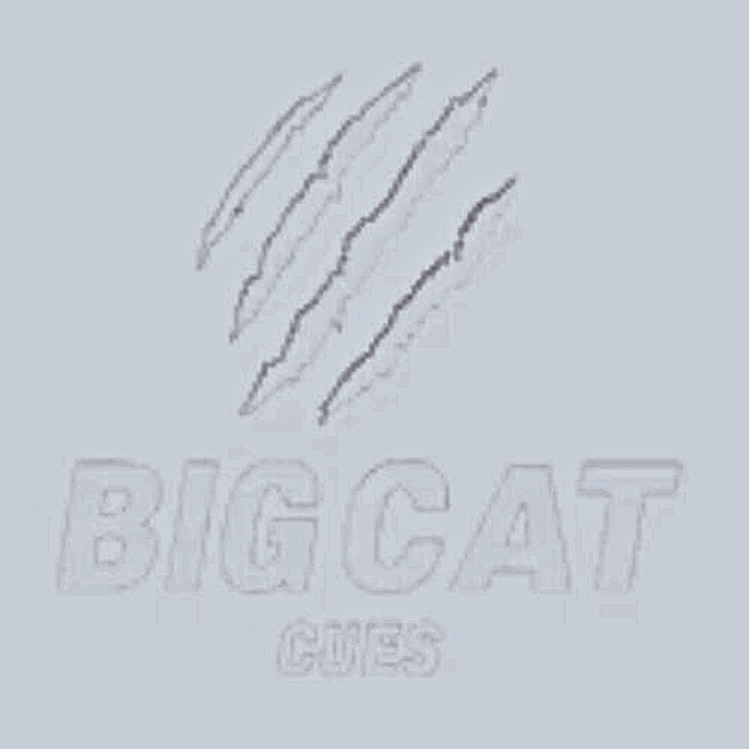 Big Cat Cues