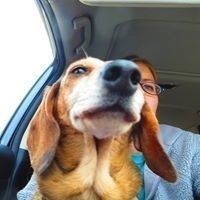 Lyndsay Petersen Ayers