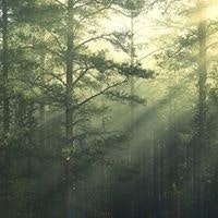 Константин Авхимович