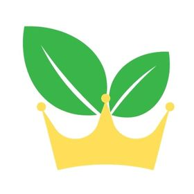 Cây cảnh ngoài trời