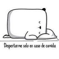 Rockerfeler Morgendorffer