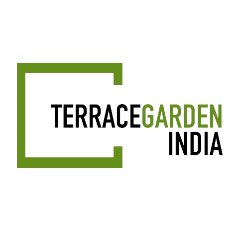 Terrace Garden India