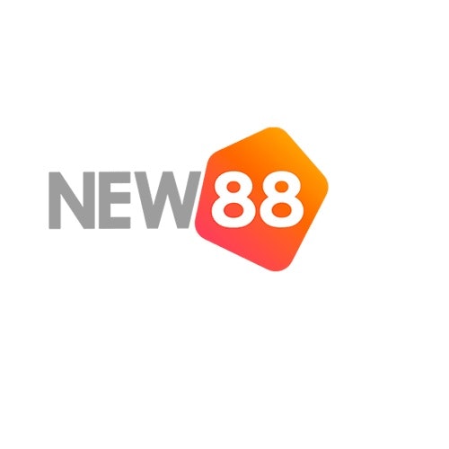 Network New881