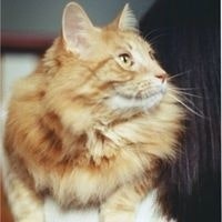 Worf Thaddeus VonBaron