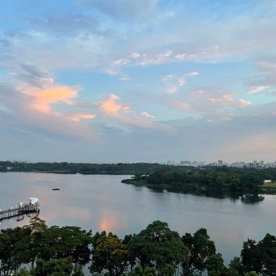 Wesley Chew ♦️.plena