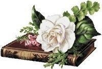 Ansiya Thangal Kunju