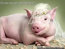 Илья Губерман