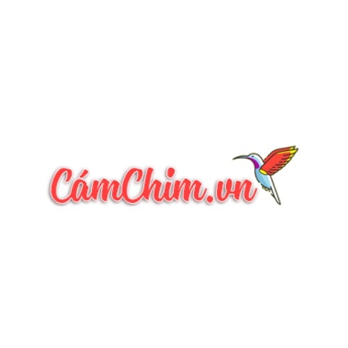 Cám Chim Phạm Cường
